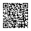To view this 2013 MERCEDES-BENZ GLK-CLASS Fort Worth TX from Lone Star Motors II, please scan this QR code with your smartphone or tablet to view the mobile version of this page.