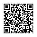 To view this 2014 HYUNDAI SONATA Fort Worth TX from Lone Star Motors II, please scan this QR code with your smartphone or tablet to view the mobile version of this page.