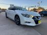 2017 WHITE NISSAN MAXIMA SR; S; SL; PL (1N4AA6AP0HC) , located at 5900 E. Lancaster Ave., Fort Worth, TX, 76112, (817) 457-5456, 0.000000, 0.000000 - Photo#2